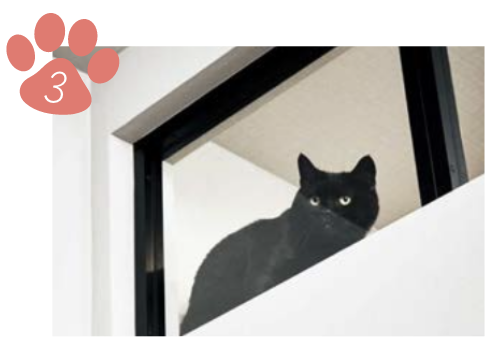 空間をゆるやかに繋げる「室内窓」