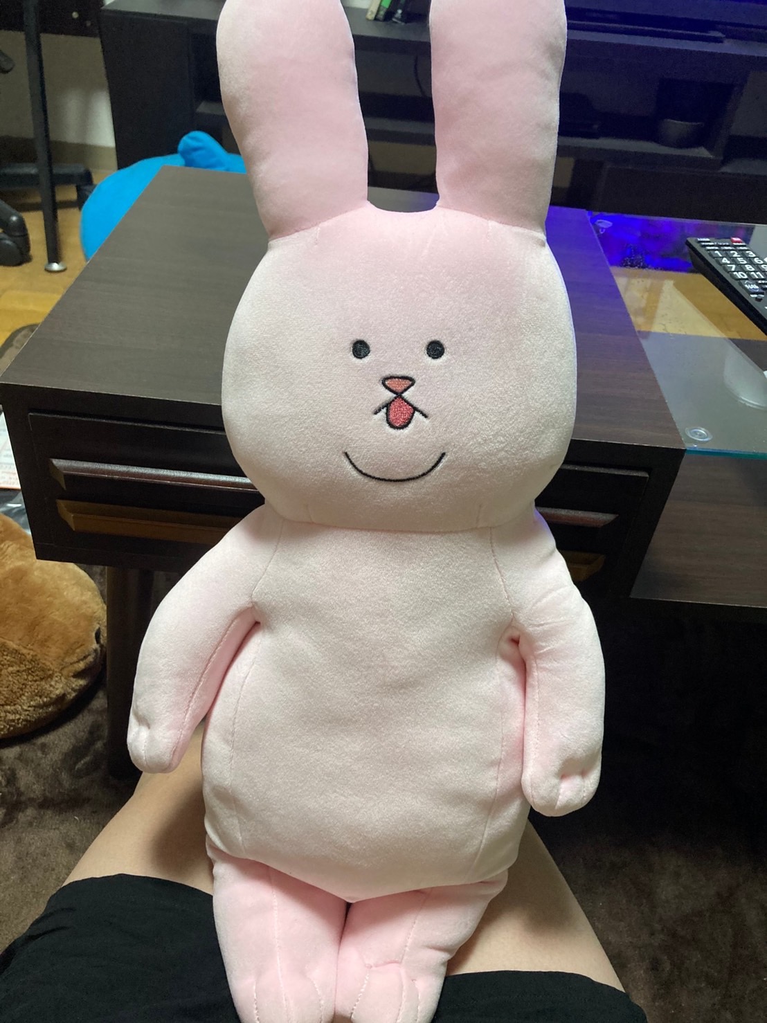 スキウサギ